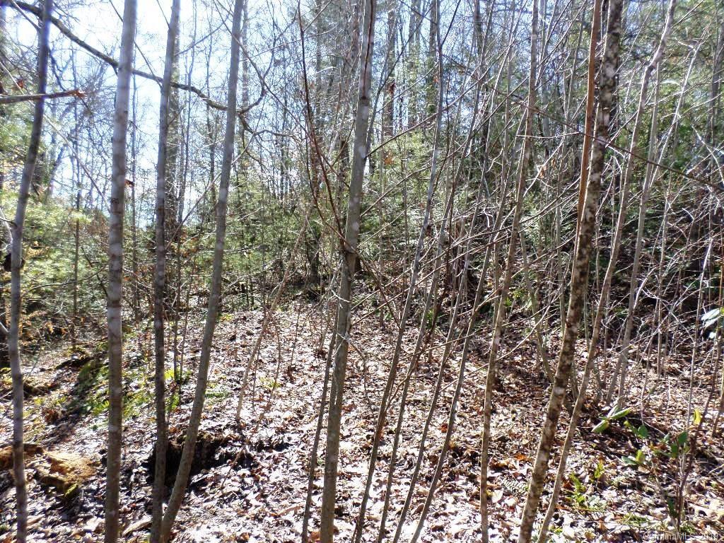 5 Tree Line Trail, Unit 5 Waynesville, NC 28785 - Photo 26 of 36 Gallery Image 26