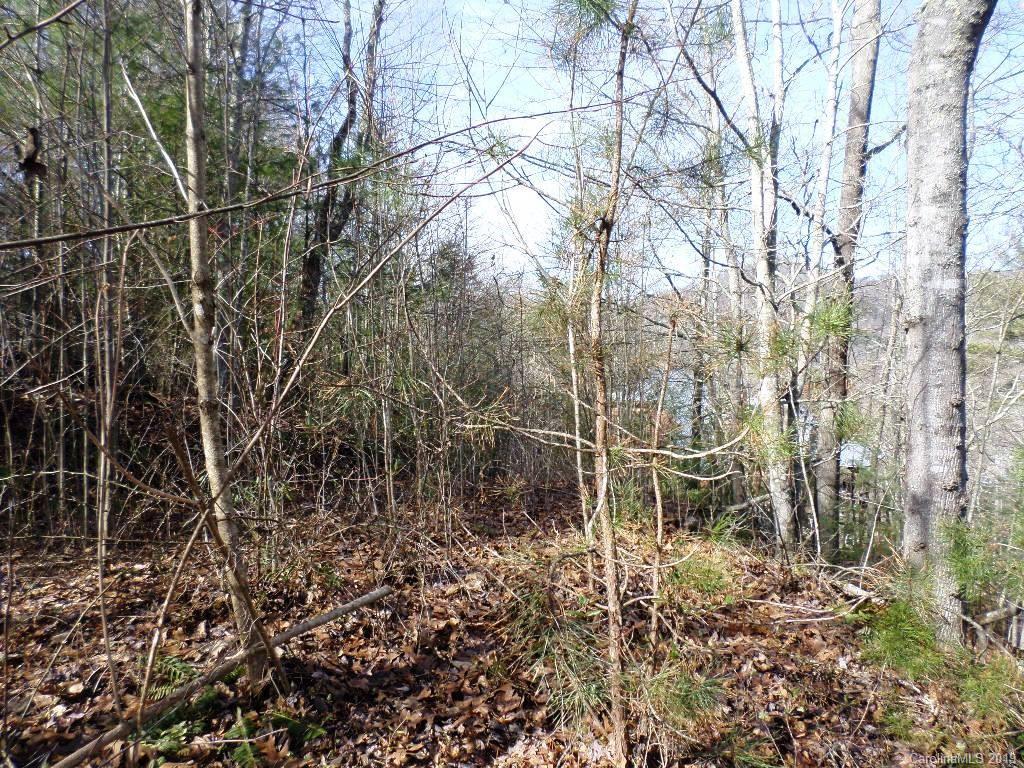 5 Tree Line Trail, Unit 5 Waynesville, NC 28785 - Photo 27 of 36 Gallery Image 27