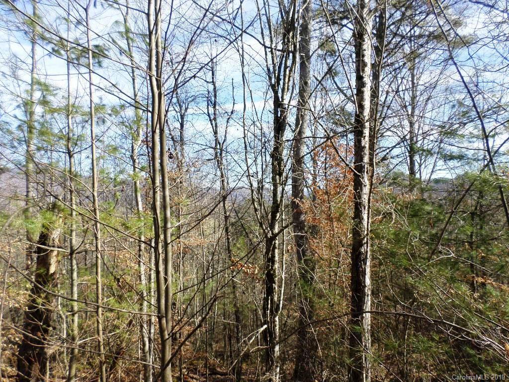 5 Tree Line Trail, Unit 5 Waynesville, NC 28785 - Photo 28 of 36 Gallery Image 28