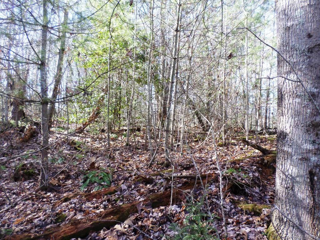 5 Tree Line Trail, Unit 5 Waynesville, NC 28785 - Photo 29 of 36 Gallery Image 29