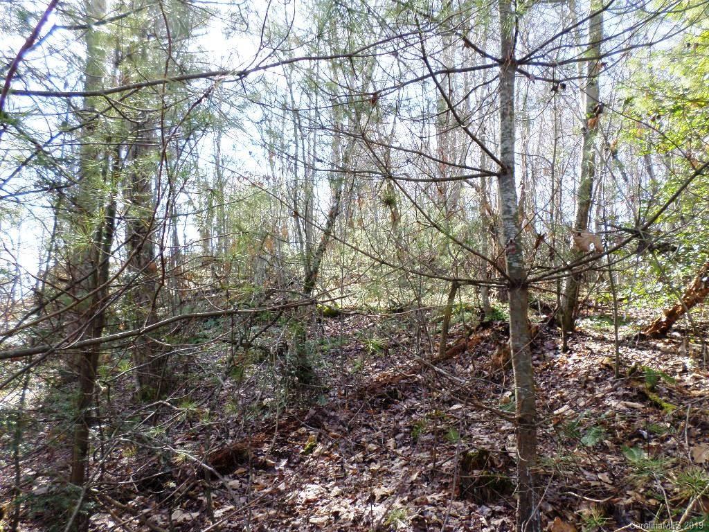 5 Tree Line Trail, Unit 5 Waynesville, NC 28785 - Photo 30 of 36 Gallery Image 30
