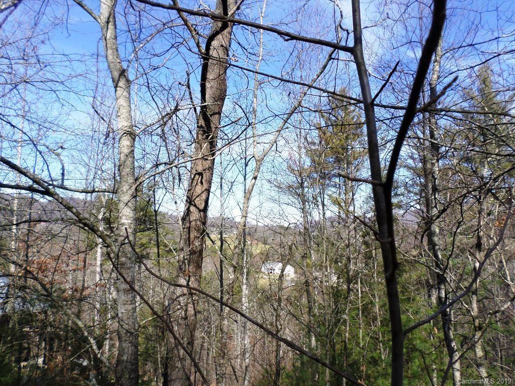 5 Tree Line Trail, Unit 5 Waynesville, NC 28785 - Photo 4 of 36 Gallery Image 4