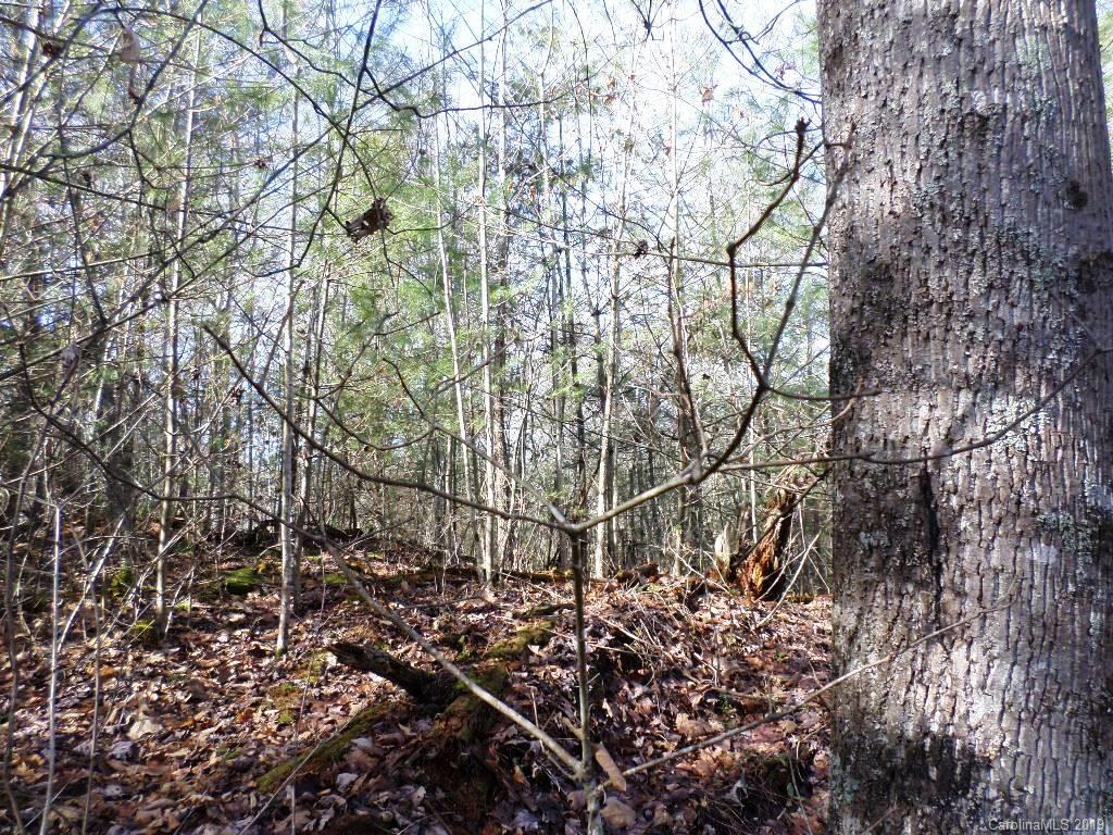 5 Tree Line Trail, Unit 5 Waynesville, NC 28785 - Photo 31 of 36 Gallery Image 31