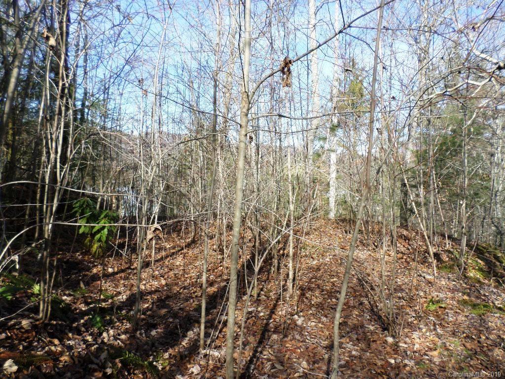 5 Tree Line Trail, Unit 5 Waynesville, NC 28785 - Photo 32 of 36 Gallery Image 32