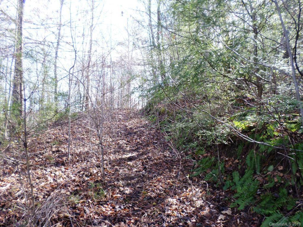 5 Tree Line Trail, Unit 5 Waynesville, NC 28785 - Photo 33 of 36 Gallery Image 33