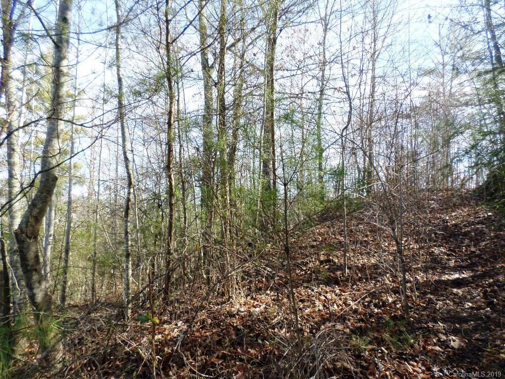 5 Tree Line Trail, Unit 5 Waynesville, NC 28785 - Photo 34 of 36 Gallery Image 34