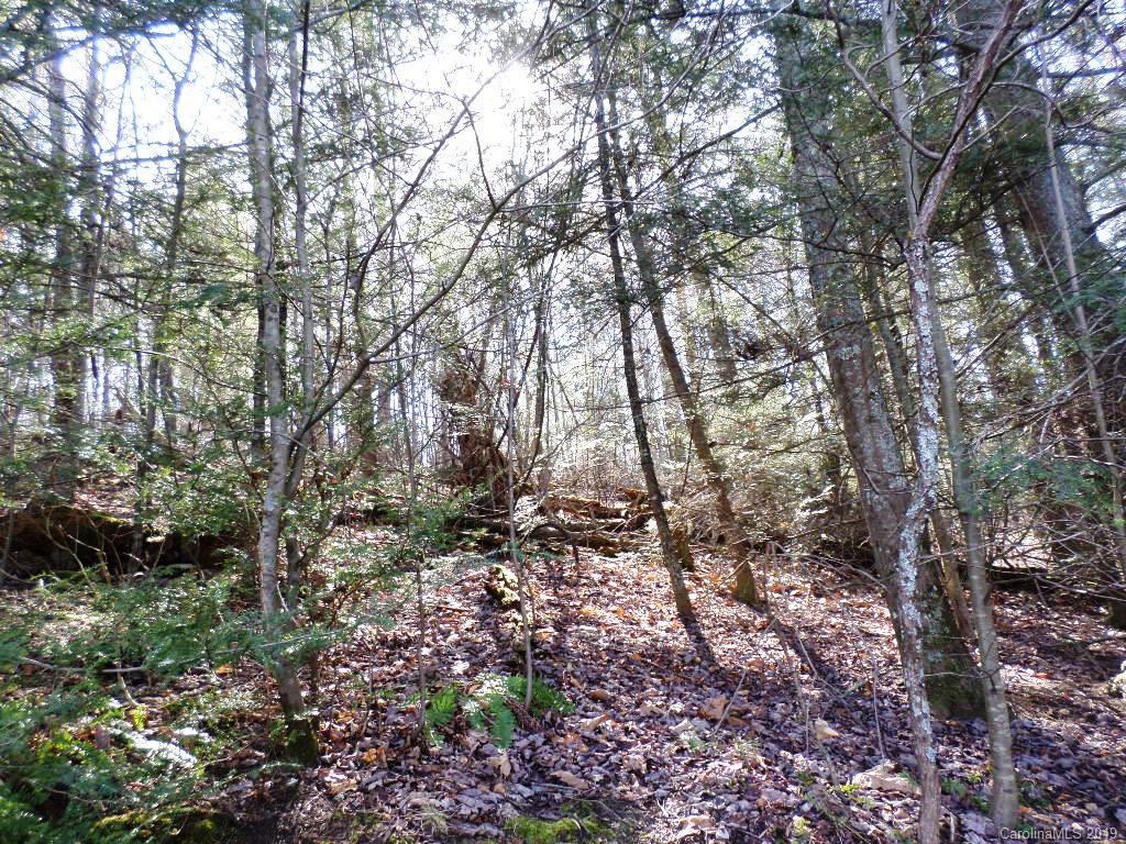 5 Tree Line Trail, Unit 5 Waynesville, NC 28785 - Photo 35 of 36 Gallery Image 35