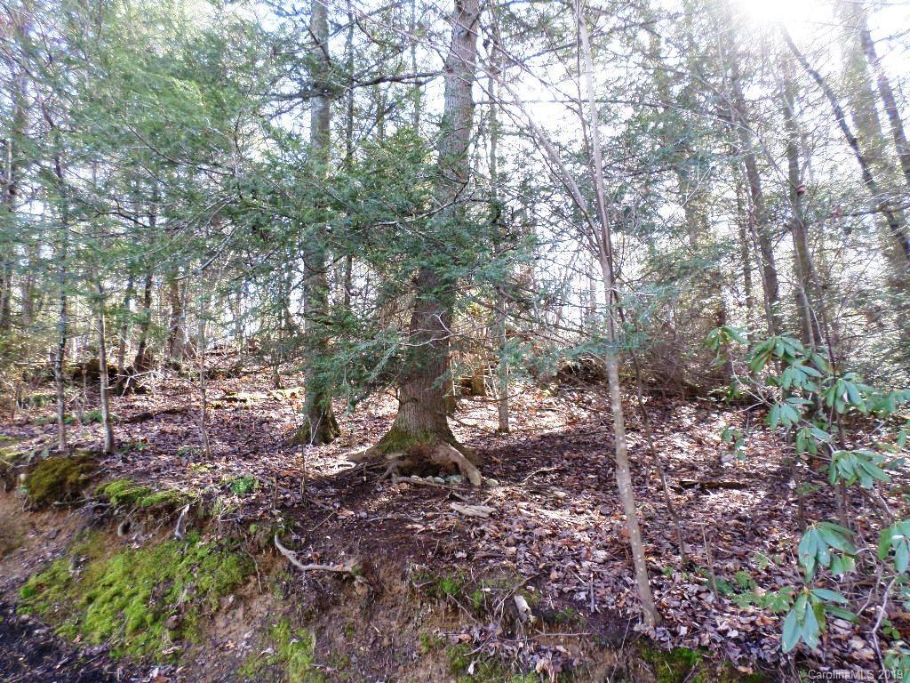 5 Tree Line Trail, Unit 5 Waynesville, NC 28785 - Photo 36 of 36 Gallery Image 36