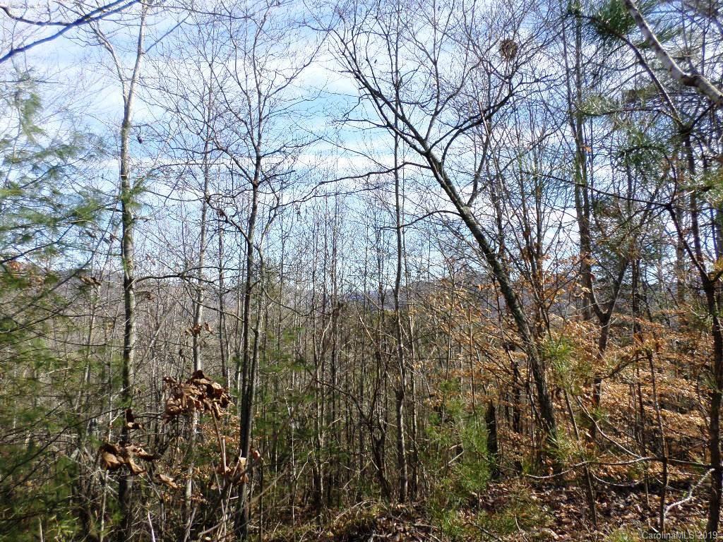 5 Tree Line Trail, Unit 5 Waynesville, NC 28785 - Photo 5 of 36 Gallery Image 5