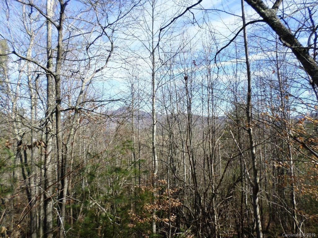 5 Tree Line Trail, Unit 5 Waynesville, NC 28785 - Photo 6 of 36 Gallery Image 6