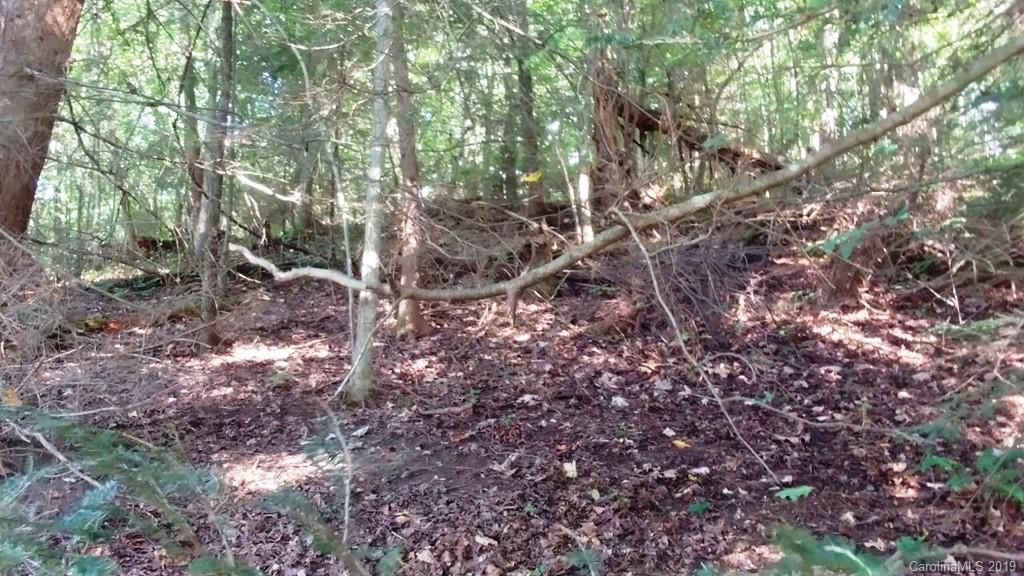 5 Tree Line Trail, Unit 5 Waynesville, NC 28785 - Photo 8 of 36 Gallery Image 8