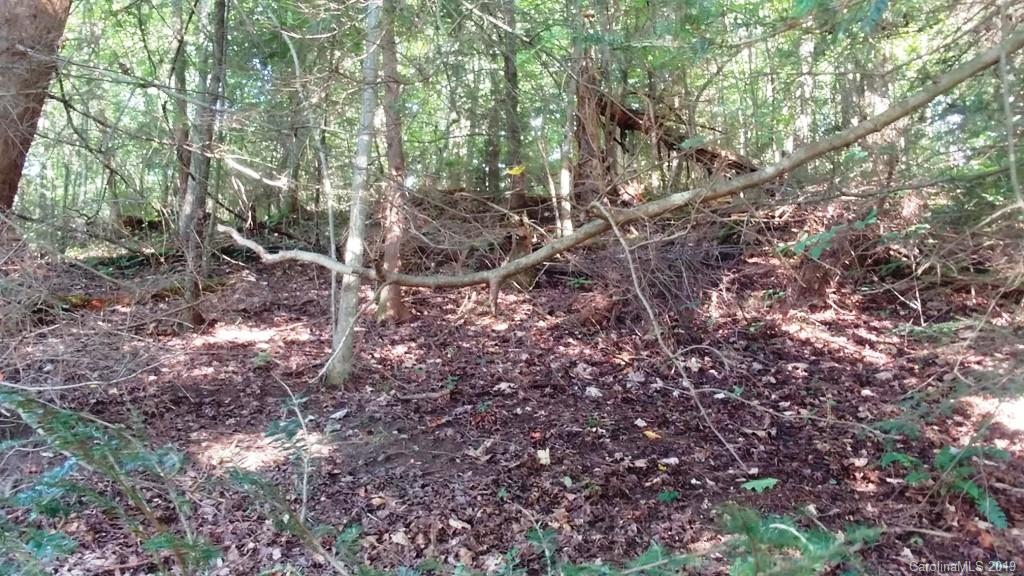 5 Tree Line Trail, Unit 5 Waynesville, NC 28785 - Photo 10 of 36 Gallery Image 10
