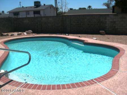 3831 West Charter Oak Road Phoenix, AZ 85029 - Photo 7 of 8 pool