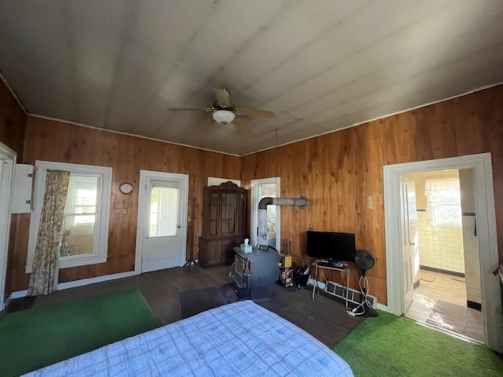 207 Main Street Fairwater, WI 53931 - Photo 19 of 24