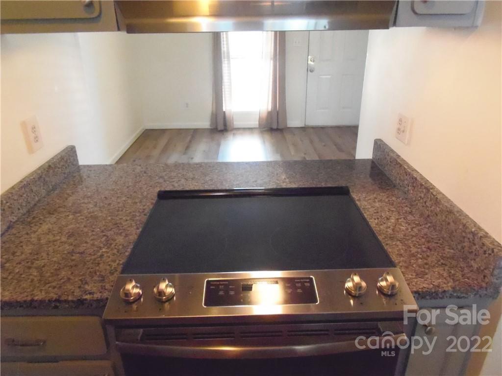 11042 Cedar View Road Charlotte, NC 28226 - Photo 7 of 29 Gallery Image 7