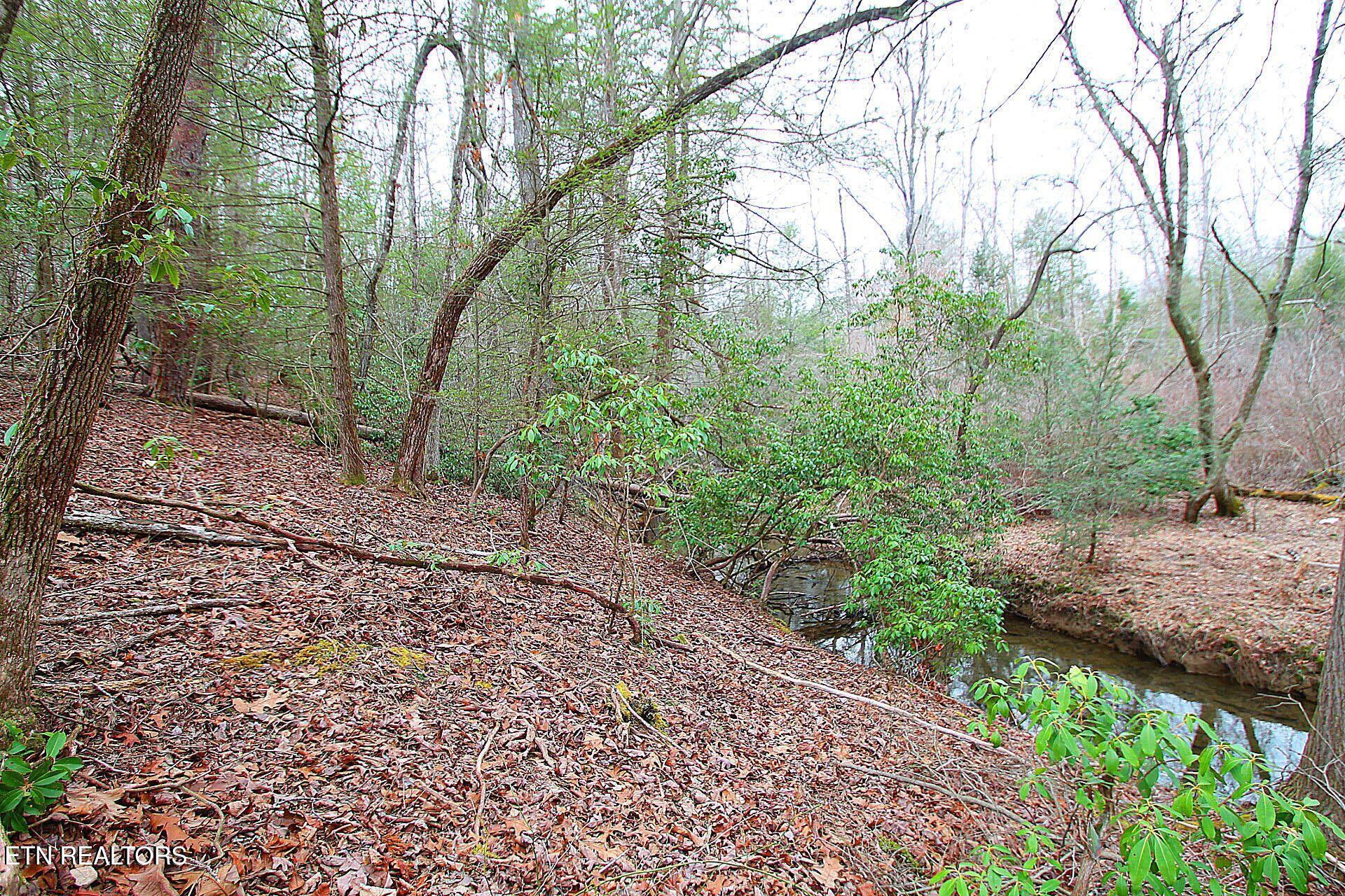 1707 Russell Ridge Road Crossville, TN 38555 - Photo 15 of 16 Slope to creek - no flood zone