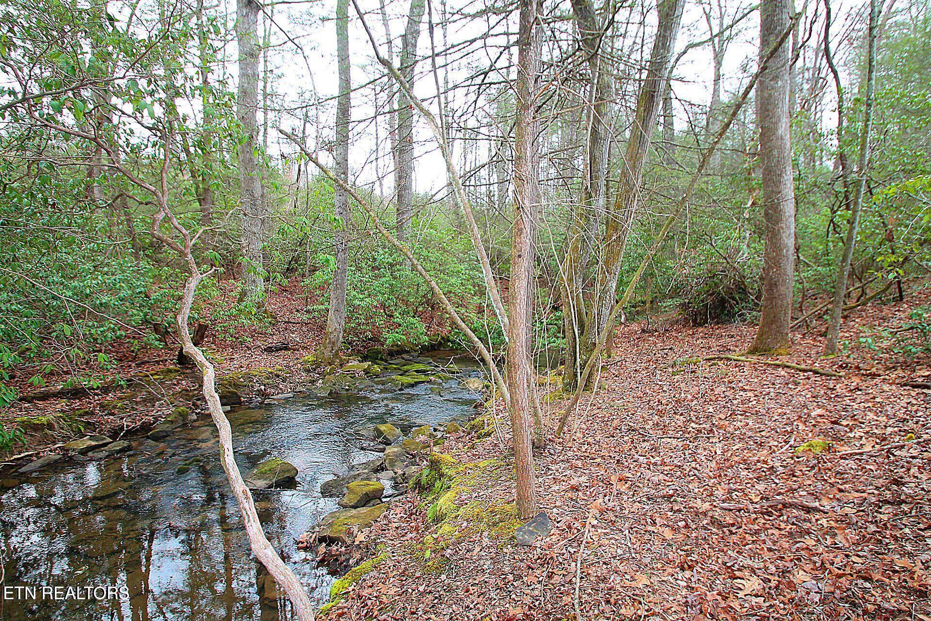 1707 Russell Ridge Road Crossville, TN 38555 - Photo 3 of 16 Buck Creek flows year round