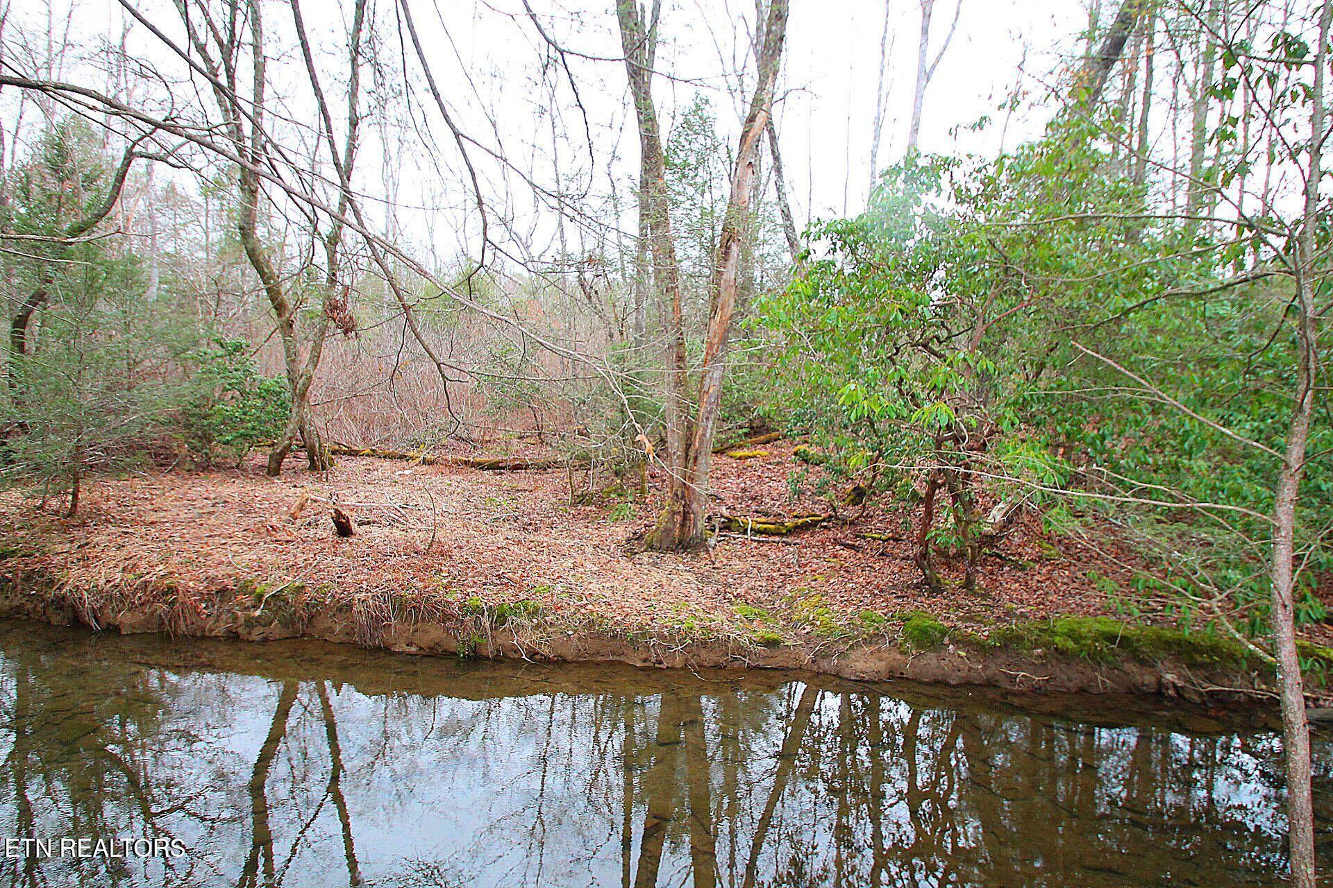 1707 Russell Ridge Road Crossville, TN 38555 - Photo 4 of 16 property on other side of Buck Creek