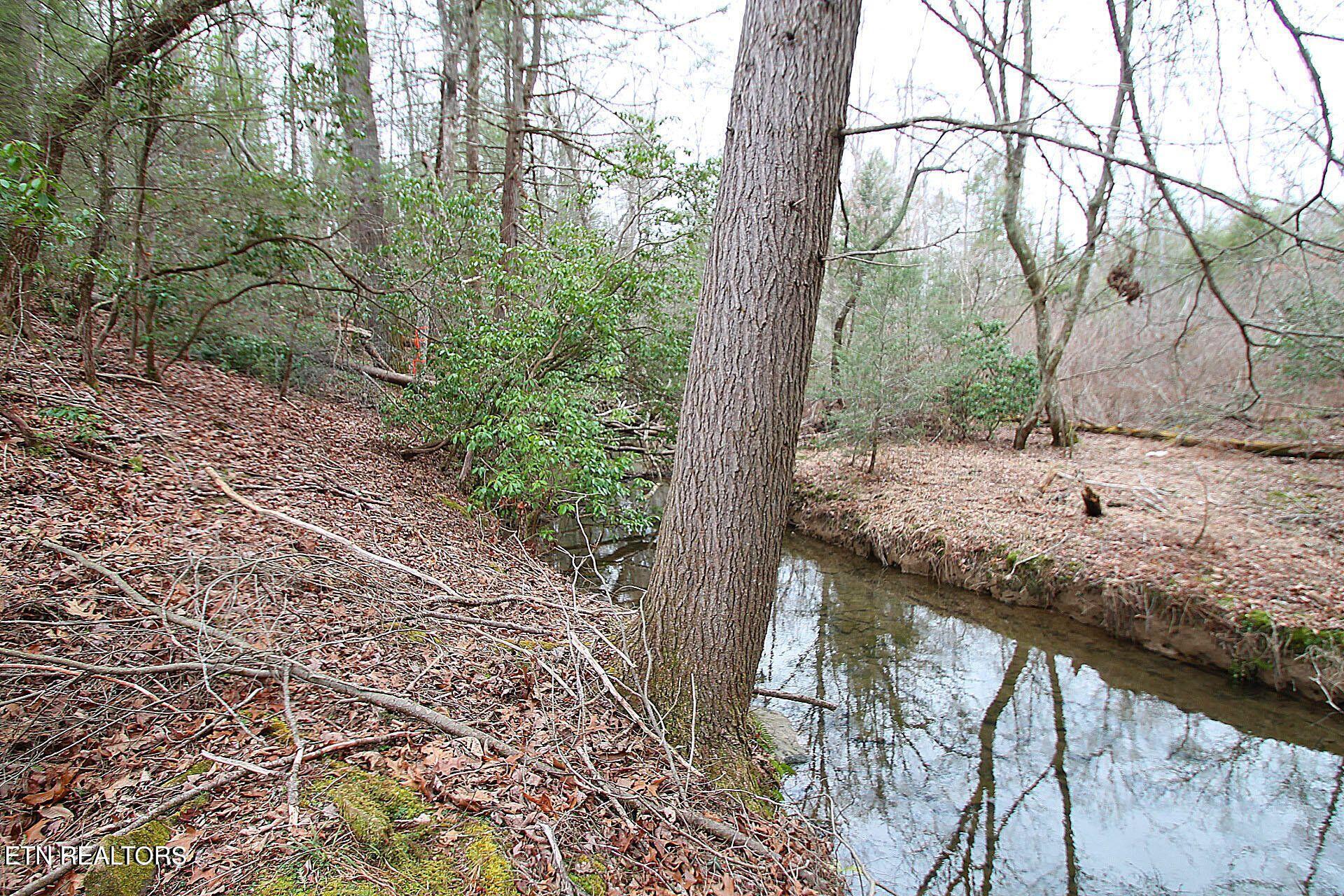1707 Russell Ridge Road Crossville, TN 38555 - Photo 5 of 16 Level to rolling land - property goes pa