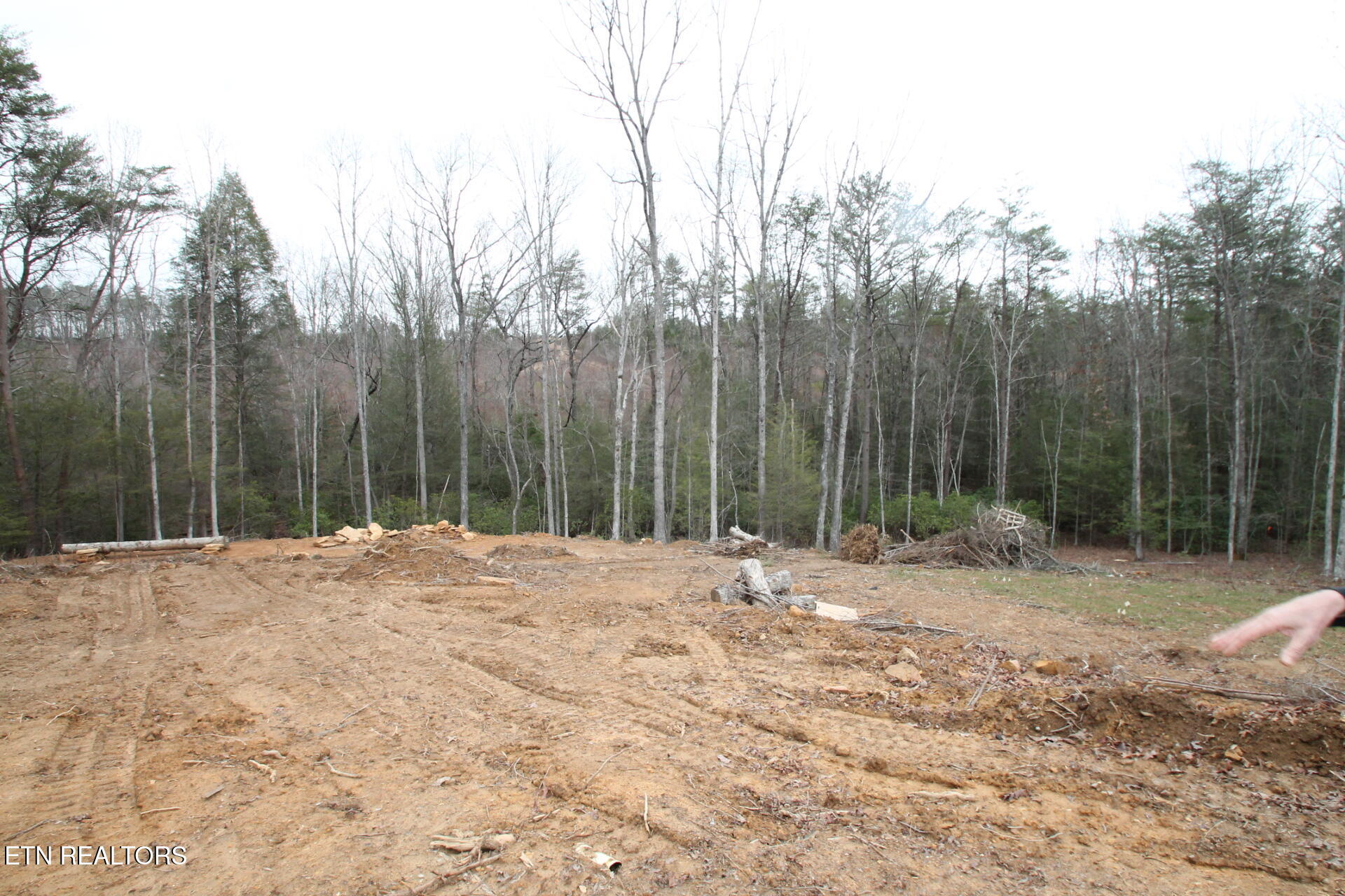1707 Russell Ridge Road Crossville, TN 38555 - Photo 9 of 16 Cleared and landscaped