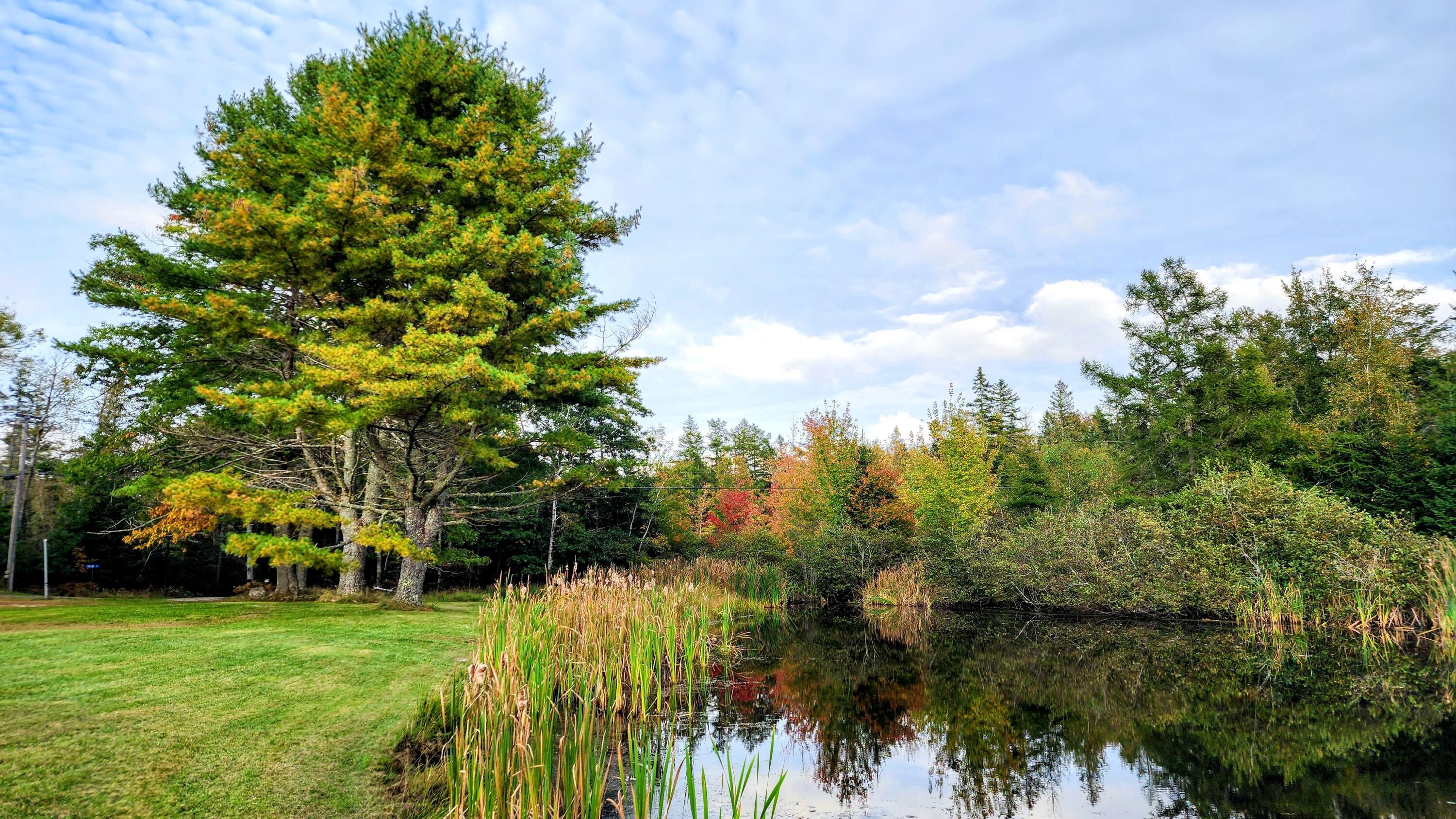 663 Reach Road Deer Isle, ME 04627 - Photo 43 of 48 Pond
