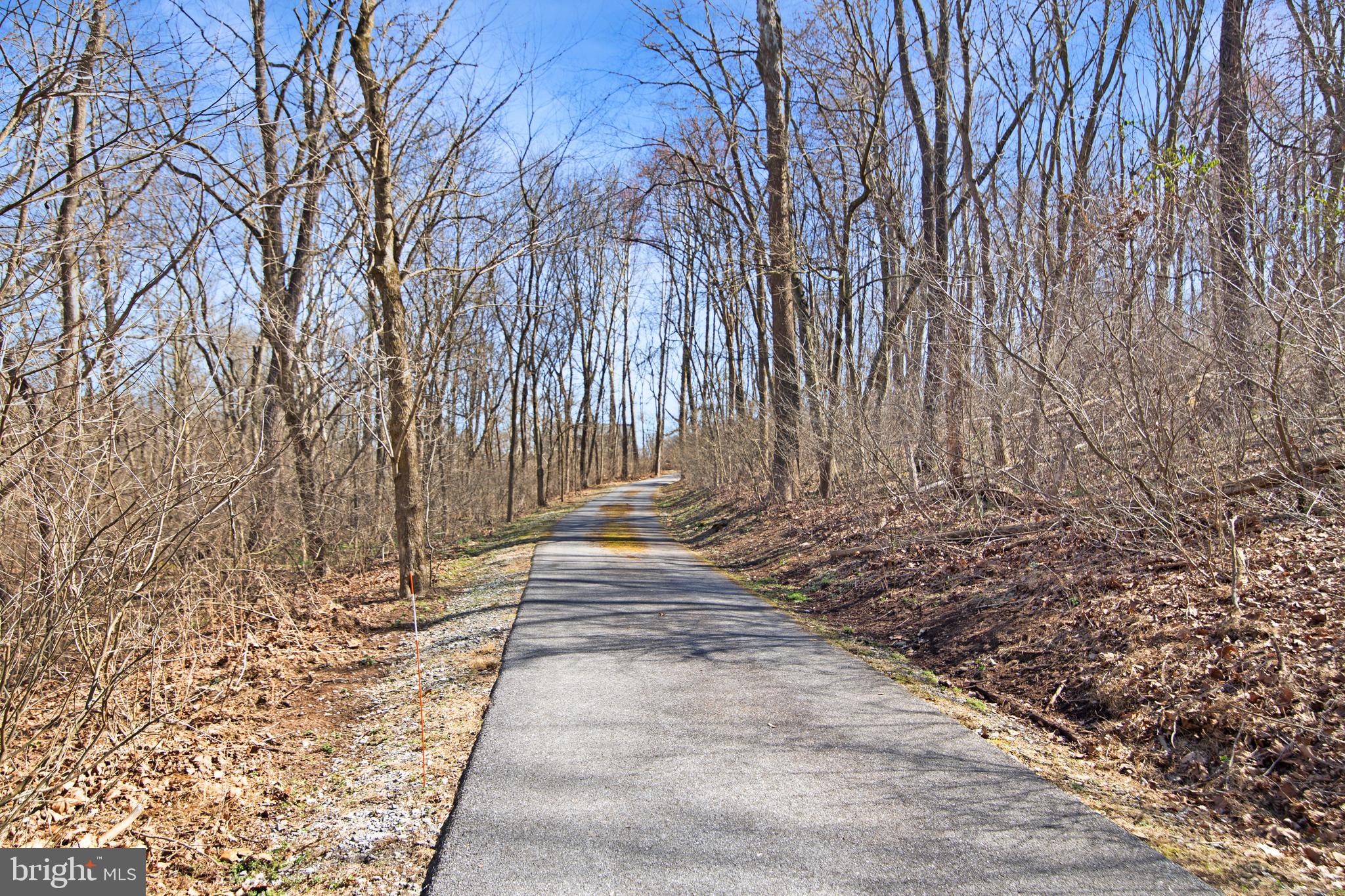 13025 Glissans Mill Road Mount Airy, MD 21771 - Photo 54 of 78 FRONT DRIVEWAY