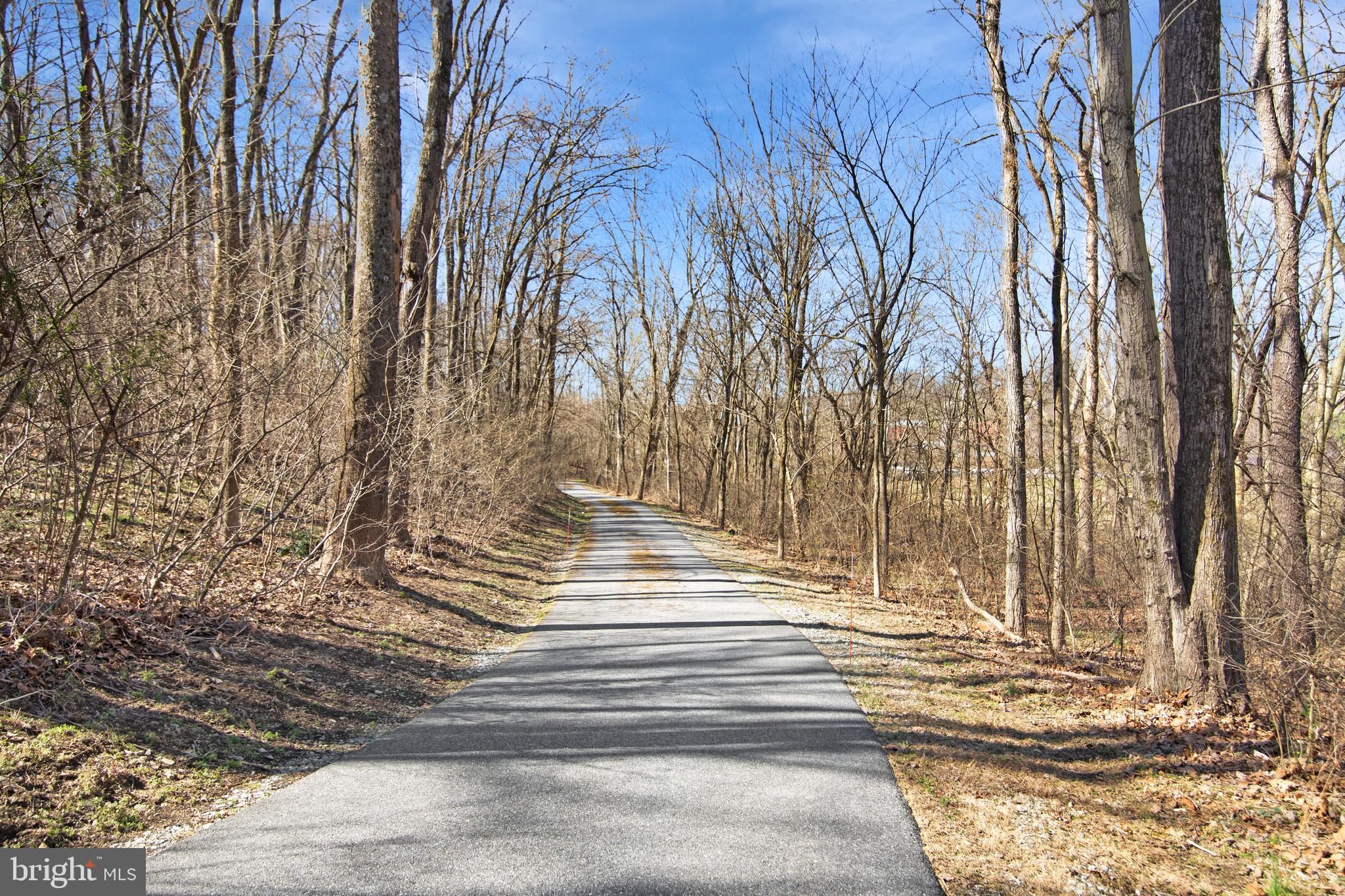 13025 Glissans Mill Road Mount Airy, MD 21771 - Photo 55 of 78 PAVED AND TREED