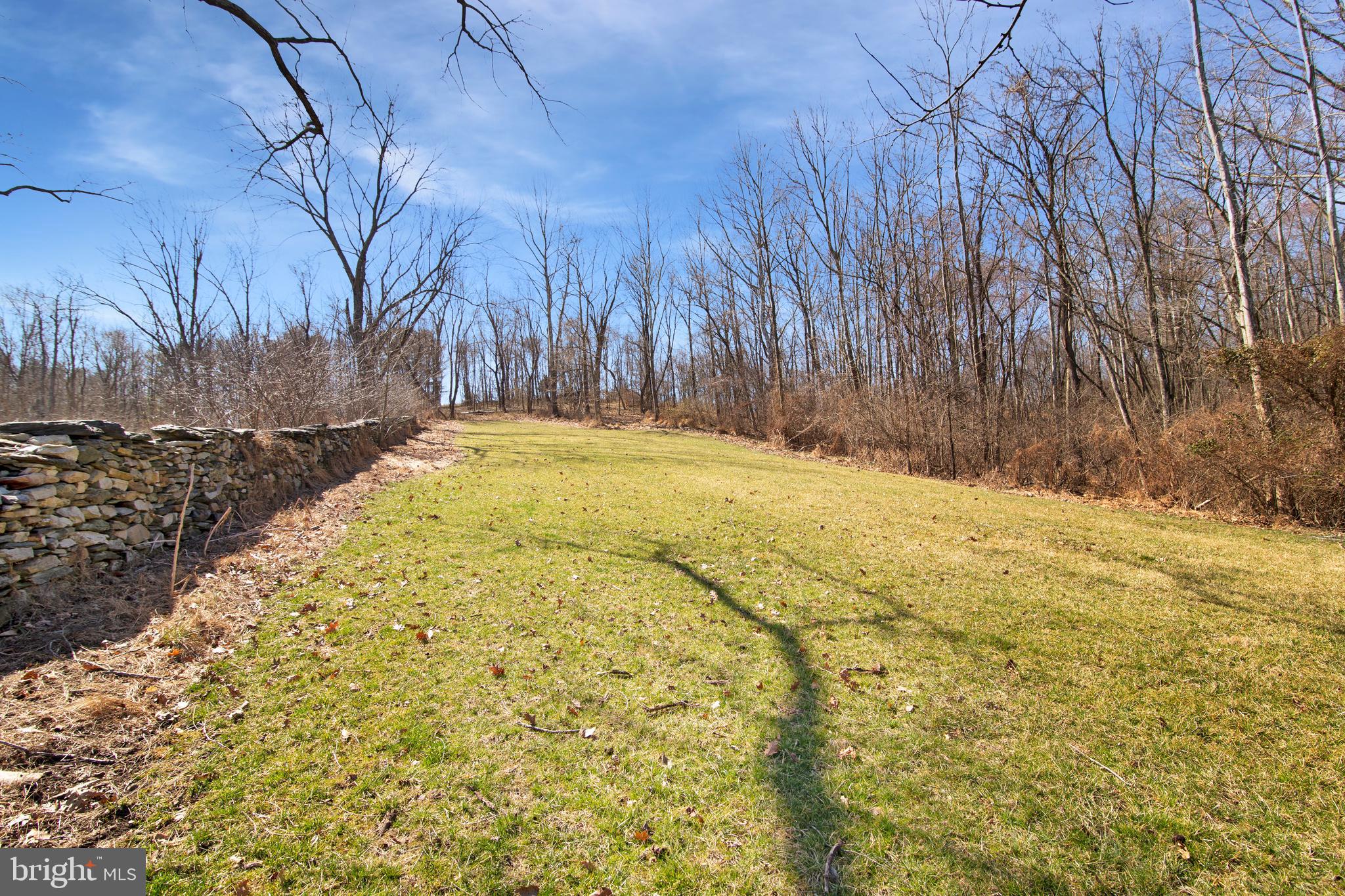 13025 Glissans Mill Road Mount Airy, MD 21771 - Photo 65 of 78 VIEW FROM HOUSE TO PASTURE
