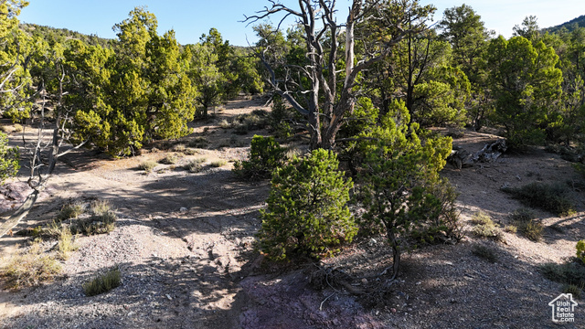 123 Tbd Prout Wash Road North Cedar City, UT 84721 - Photo 30 of 82