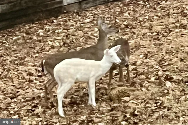 $655,000 | 323 Turkey Trail, Mineral, VA 23117