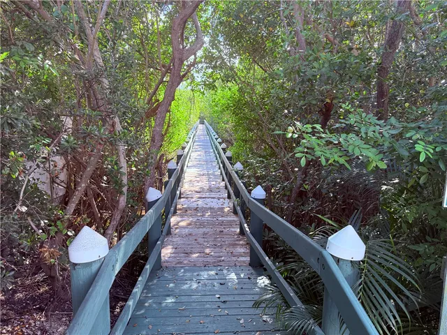 a view of a yard with plants and a bench