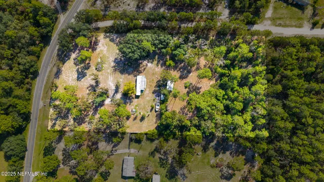 a view of a forest with a tree