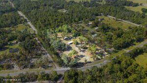 439 East Bannerville Road Palatka, FL 32177 - Photo 3 of 6 a view of a forest with a tree