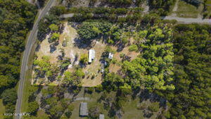 439 East Bannerville Road Palatka, FL 32177 - Photo 4 of 6 a view of a tree