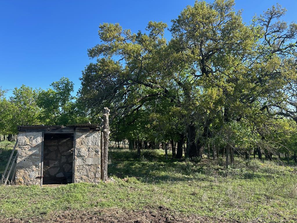 242-232 Myrtle Avenue Harper, TX 78631 - Photo 1 of 5 Main View