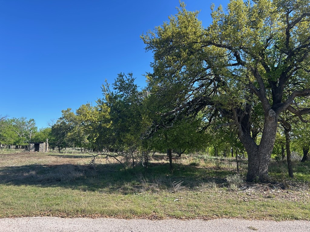 242-232 Myrtle Avenue Harper, TX 78631 - Photo 4 of 5