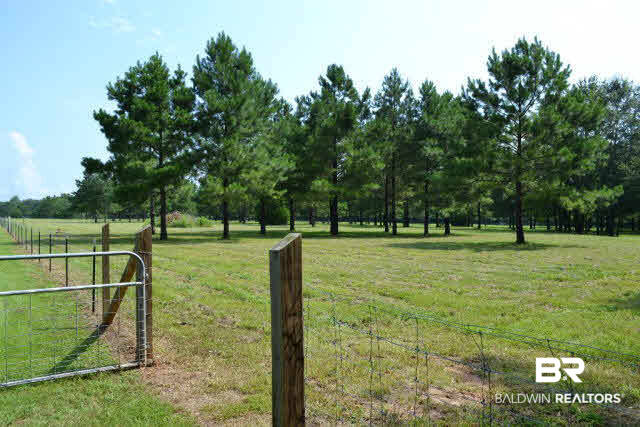 27608 County Road 65 Loxley, AL 36551 - Photo 27 of 32 Facing North