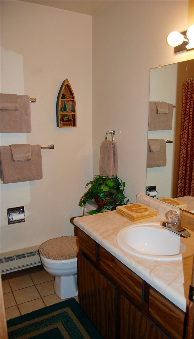 6915 Ryan Gulch Road, Unit 6915 Silverthorne, CO 80498 - Photo 9 of 14 Bathroom