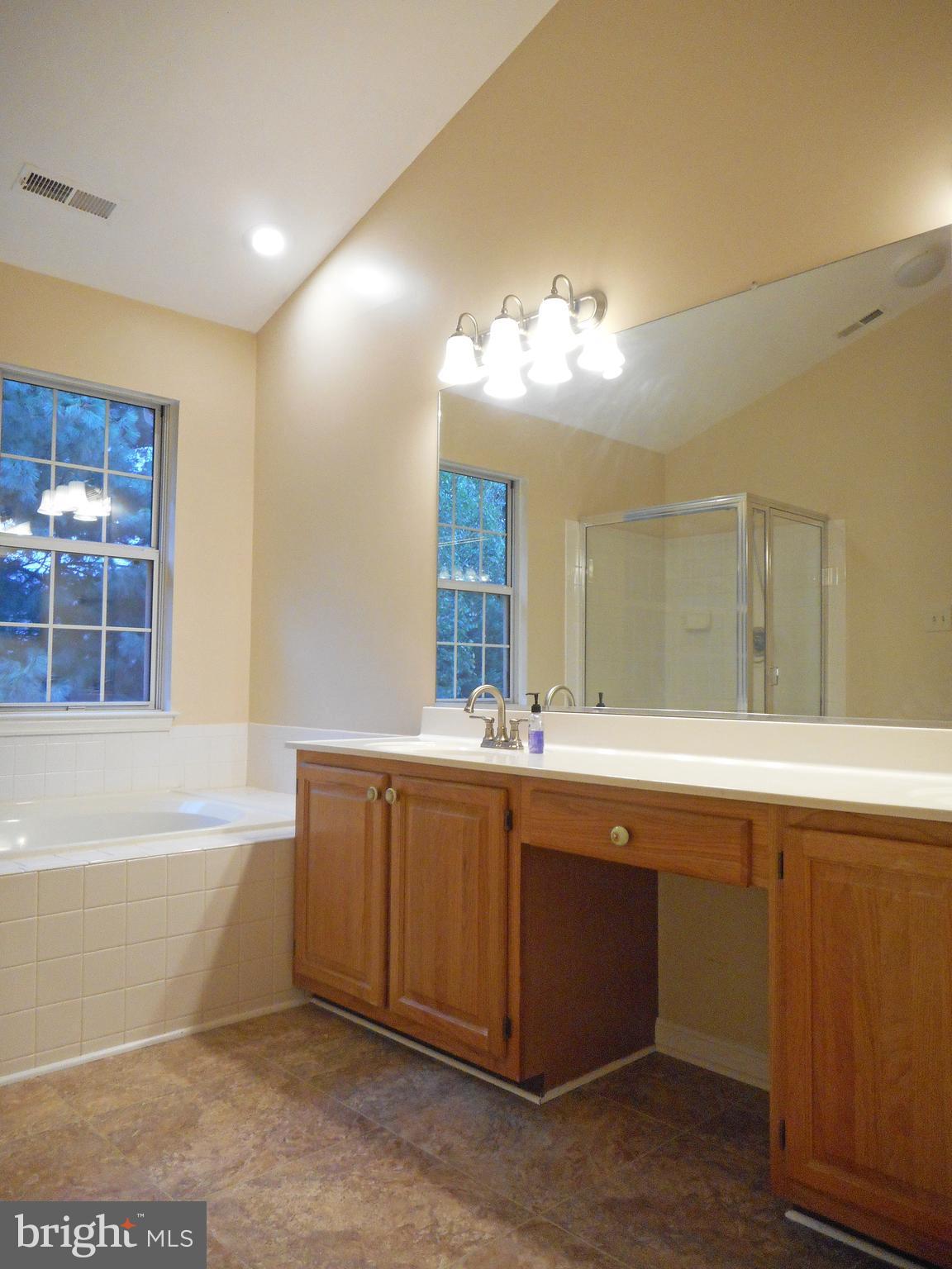 21289 Mirror Ridge Place Sterling, VA 20164 - Photo 17 of 30 Master Bathroom with Large Garden Tub