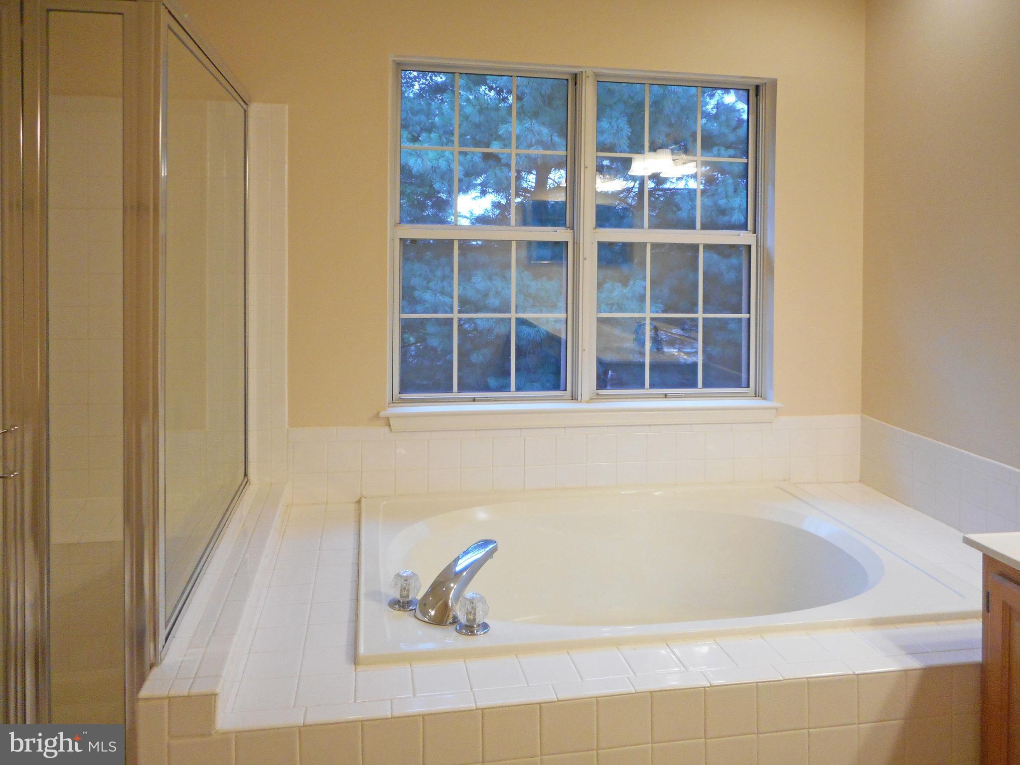 21289 Mirror Ridge Place Sterling, VA 20164 - Photo 18 of 30 View of Relaxing Garden Tub