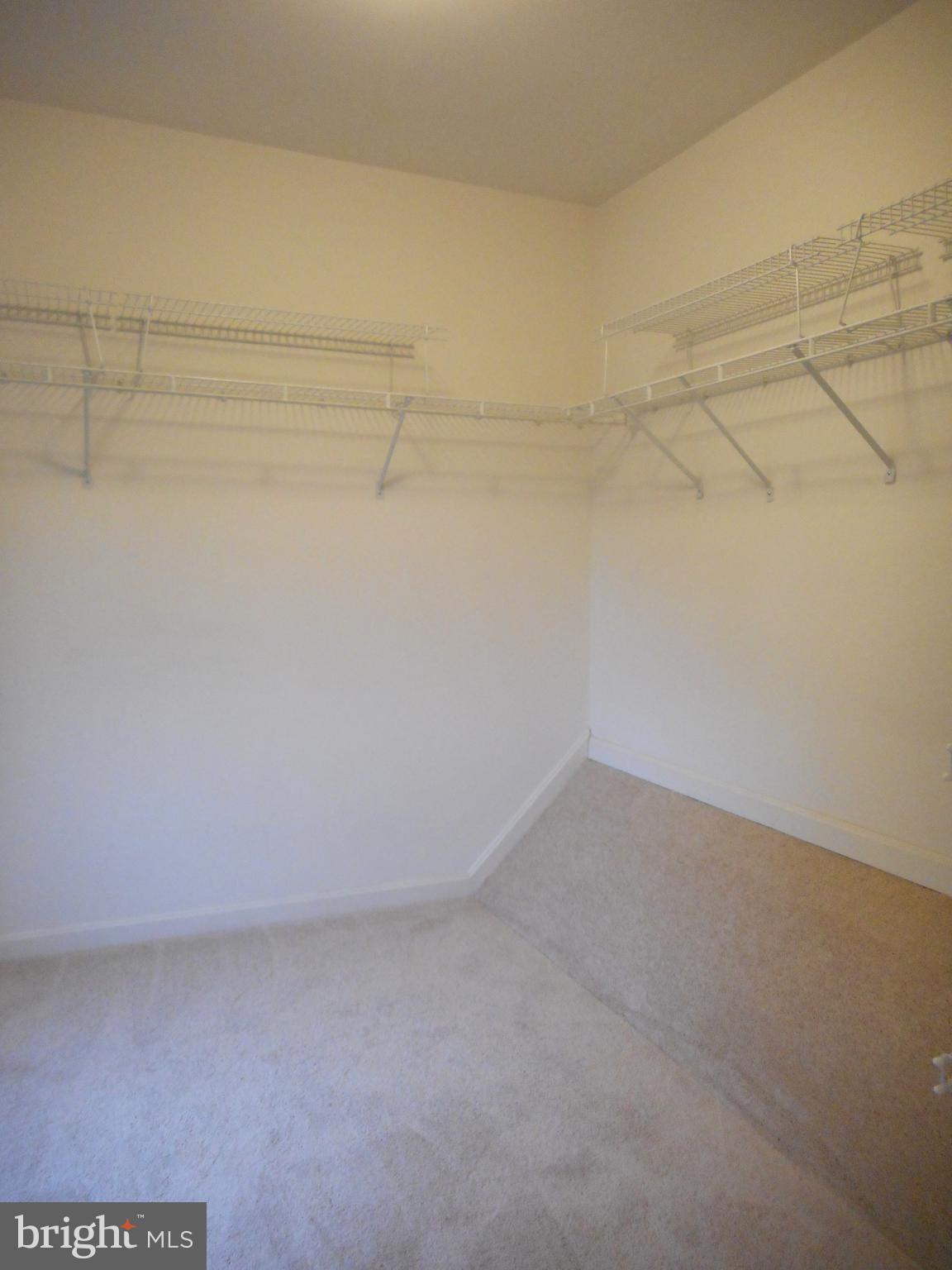 21289 Mirror Ridge Place Sterling, VA 20164 - Photo 19 of 30 Large Walk In Close in MBR, Natural Light too!
