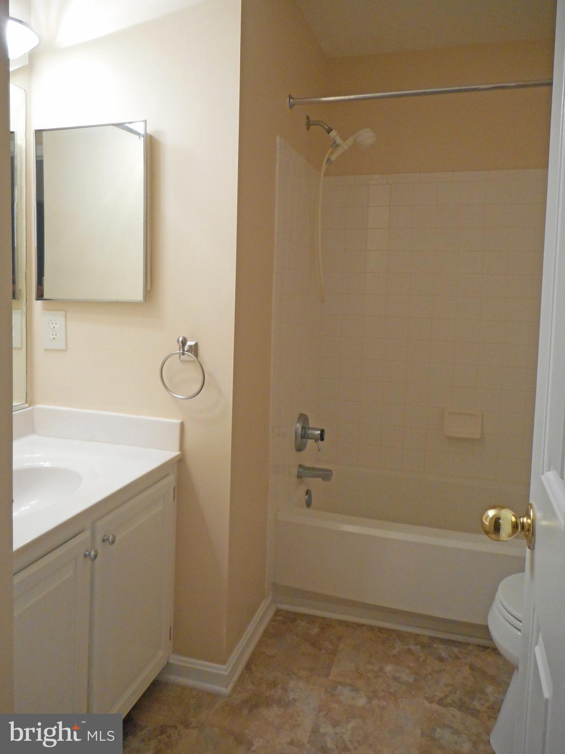 21289 Mirror Ridge Place Sterling, VA 20164 - Photo 23 of 30 Hallway Bath