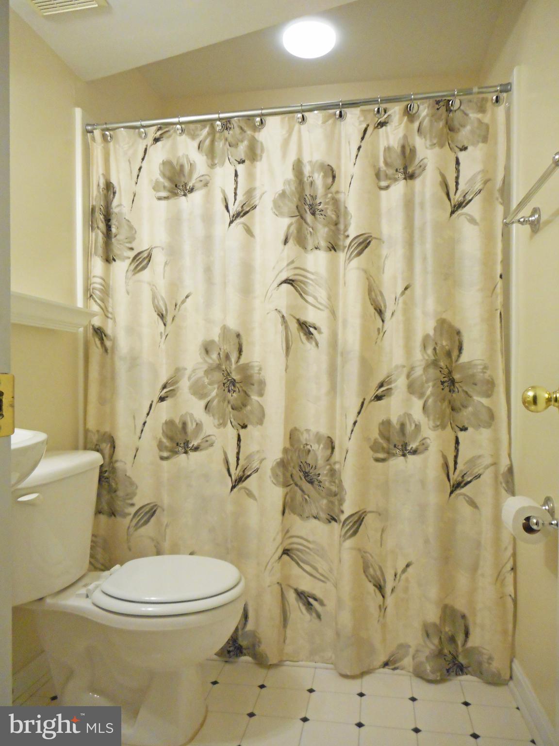 21289 Mirror Ridge Place Sterling, VA 20164 - Photo 29 of 30 Full Bath in Basement