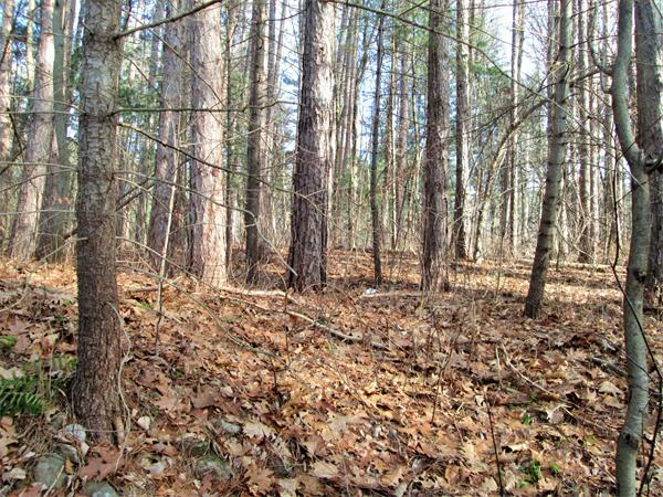 80 Walker Pond Road Sturbridge, MA 01566 - Photo 1 of 5 Gallery Image 1