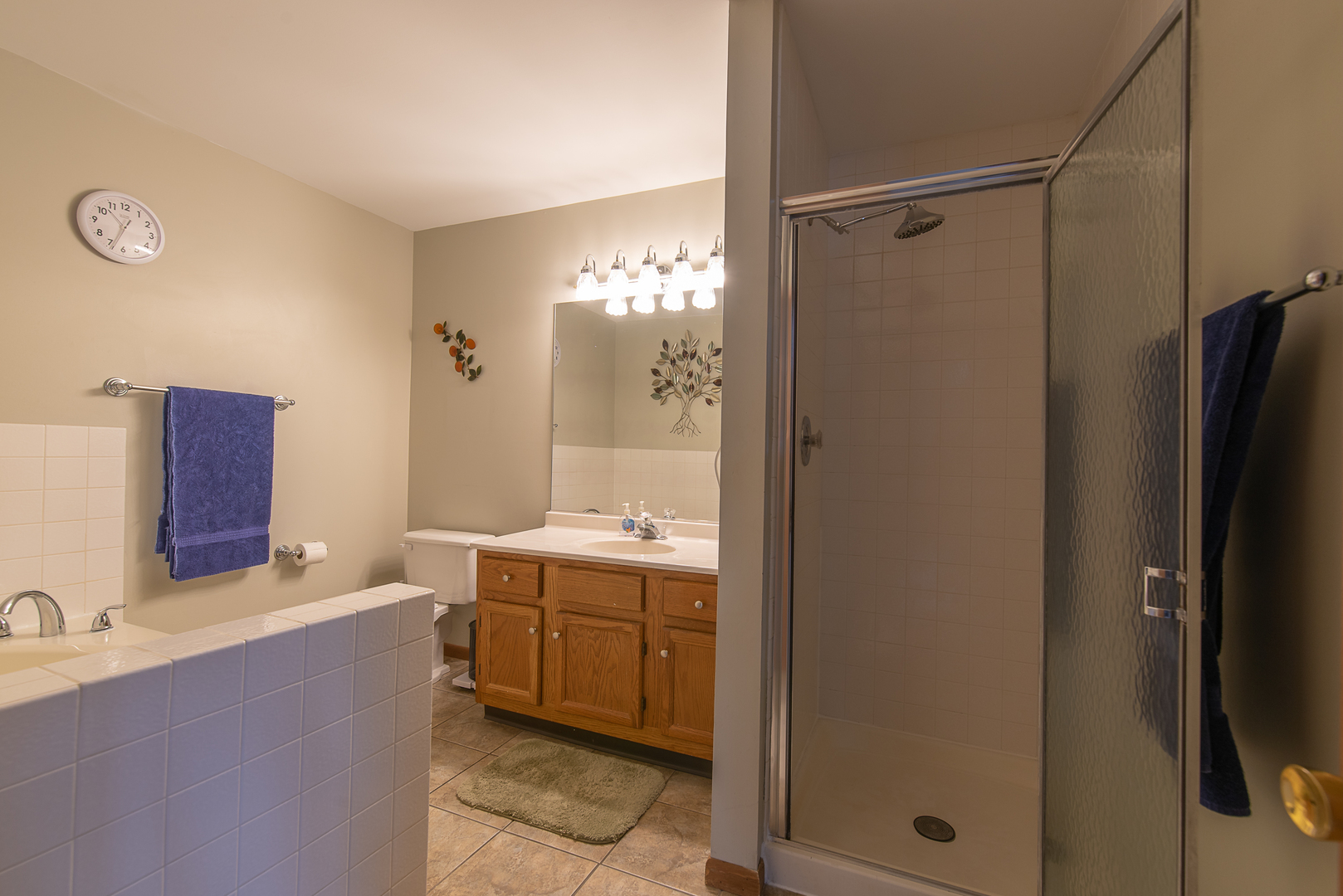 272 Park Ridge Lane, Unit A Aurora, IL 60504 - Photo 19 of 25