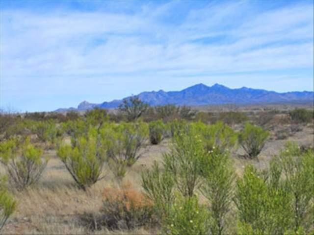 0 Garrett Ranch Road Tubac, AZ 85646 - Photo 3 of 4 Gallery Image 3