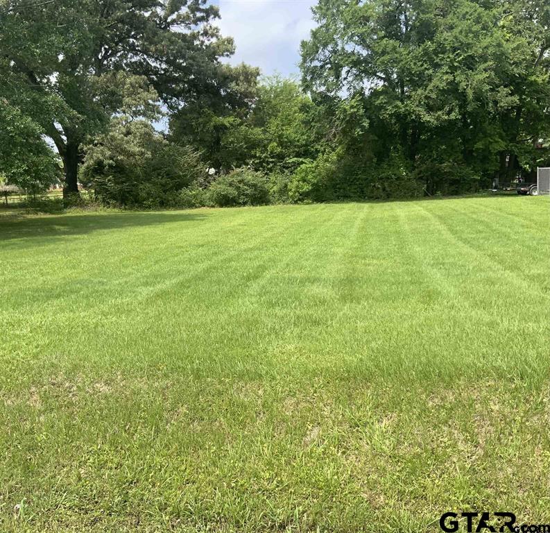 Tbd Rose Street Chandler, TX 75758 - Photo 2 of 2 a view of a field with a trees in the background