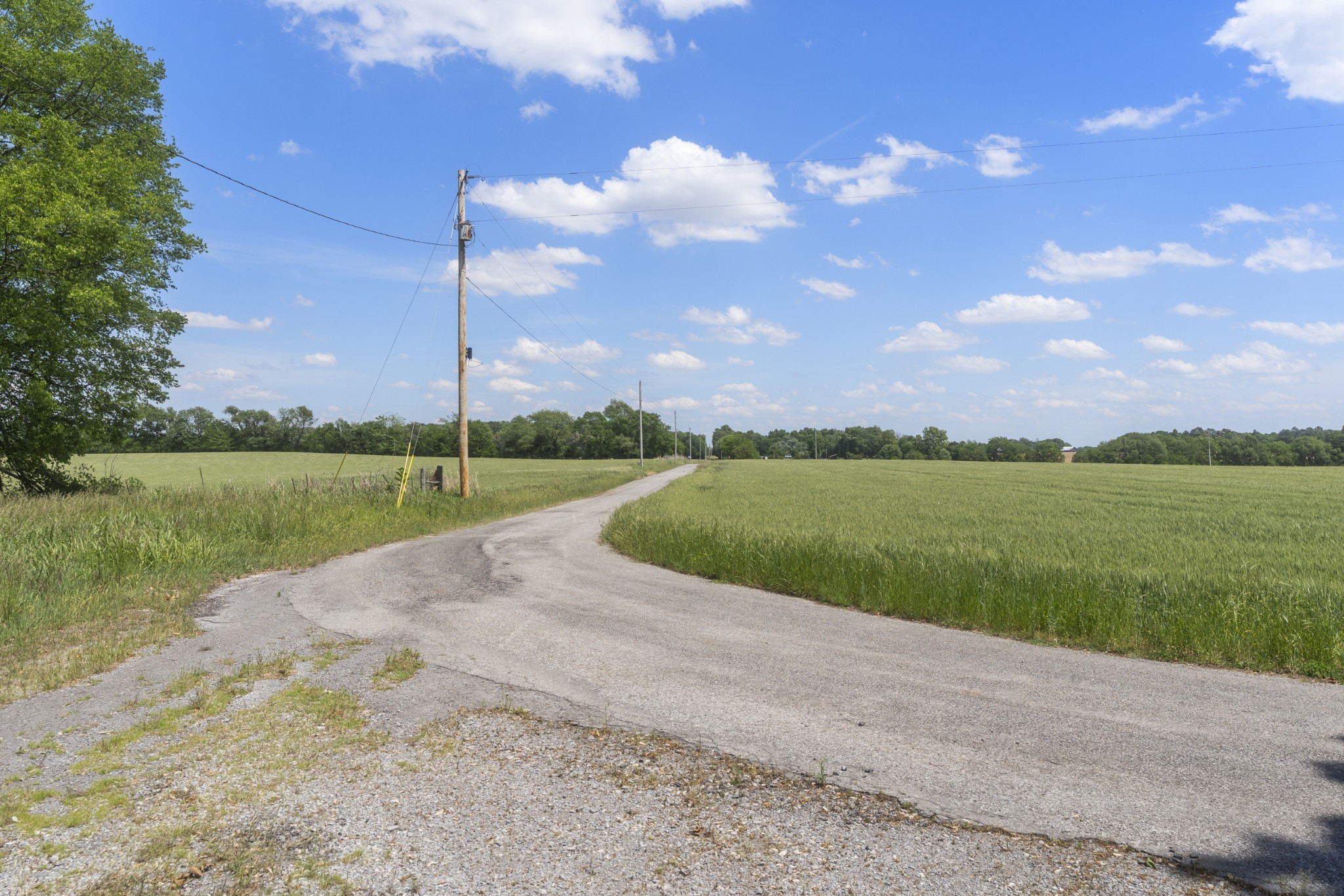 5078 Boyd Holland Road Springfield, TN 37172 - Photo 31 of 46 a view of a park