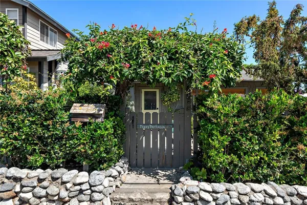 a view of backyard with potted plants and large trees