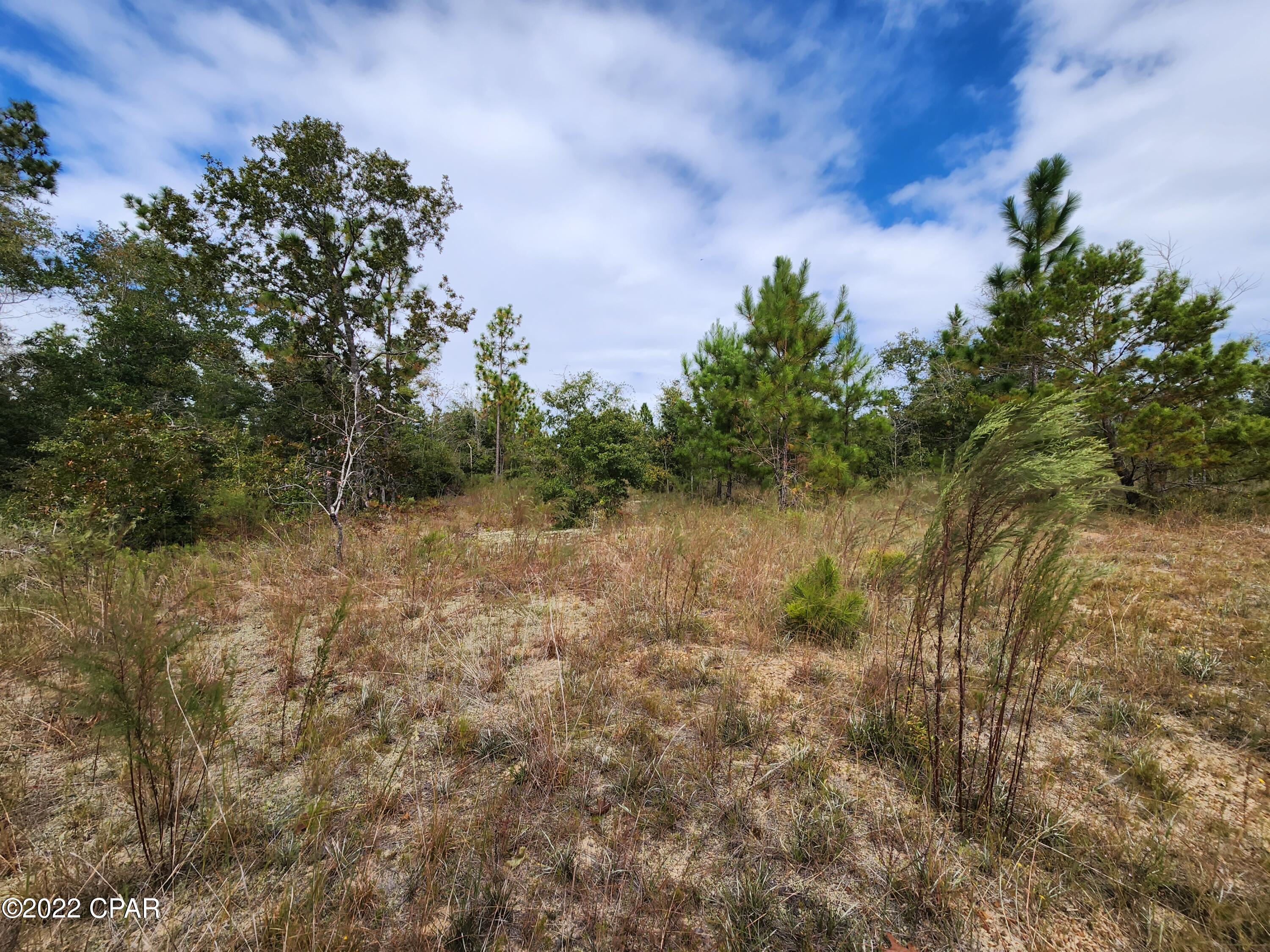 Xxx Richard Hardy Road West Bristol, FL 32321 - Photo 23 of 23